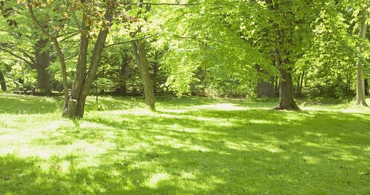 Парк Чкалова - красивый парк на Юго-Западе Екатеринбурга находится в границе улиц Громова, Академика Бардина, Чкалова, и Начдива Онуфриева